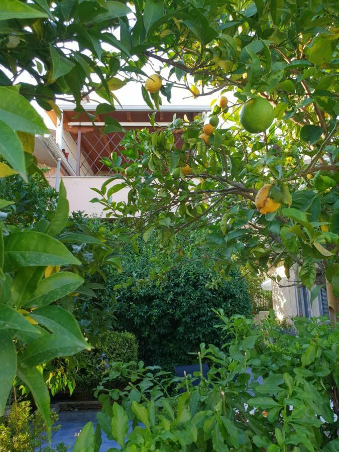 The Jasmine House Villa Preveza Exterior photo